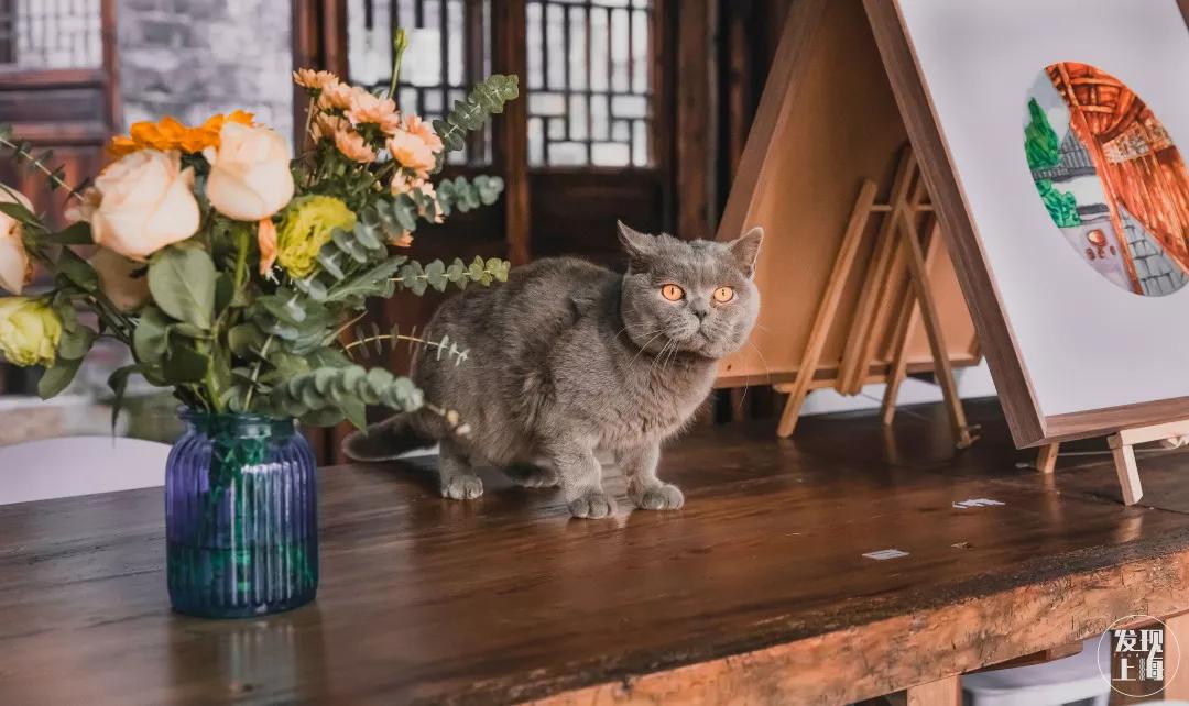 松江千年古镇,松江上海之源