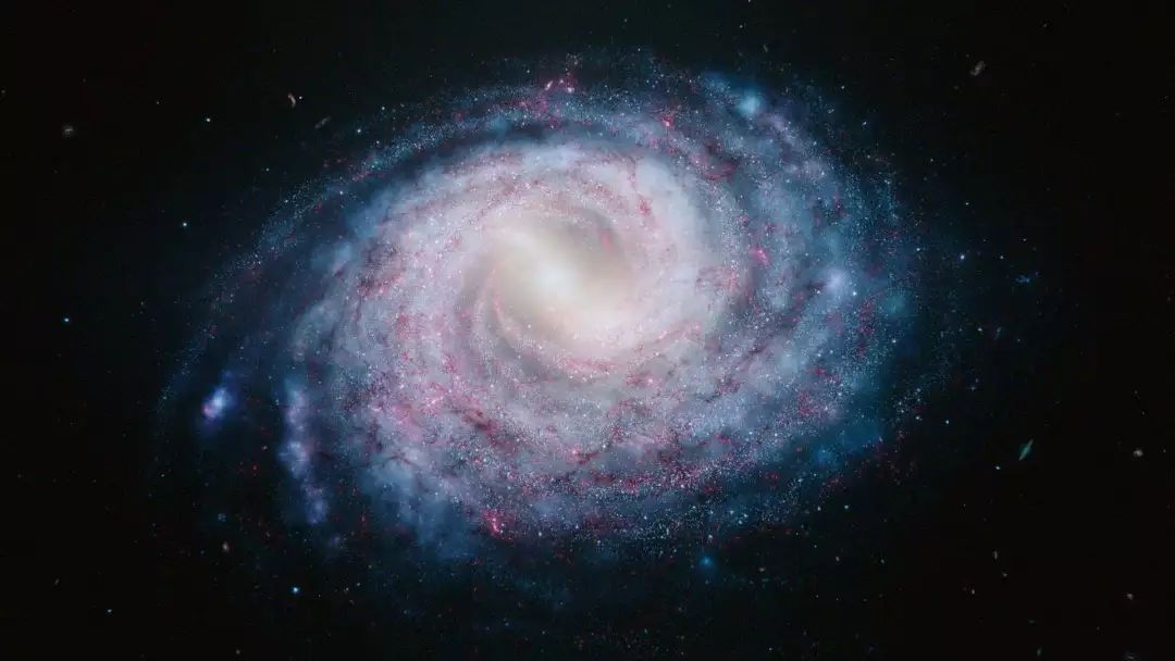 孩子暑期必看的50部神级纪录片,适合孩子和家长一起看的纪录片