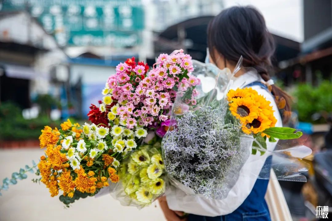广州最便宜的花卉市场1块钱,广州岭南花卉市场买花攻略