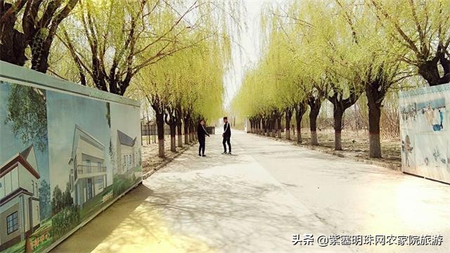 唐山月坨岛009号别墅农家院（原乐亭三岛幸福农家院）享休闲时光