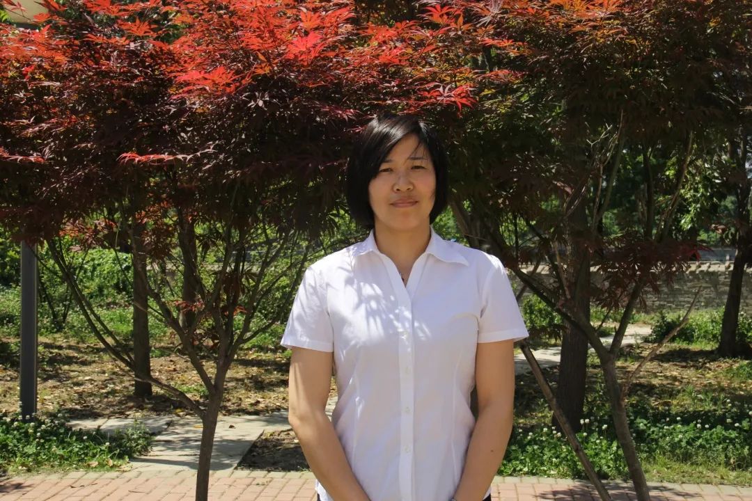 羊山外国语中学2024年招生时间,羊山外国语中学招生热线