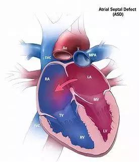 心脏使用说明及保养,心脏用药记忆口诀