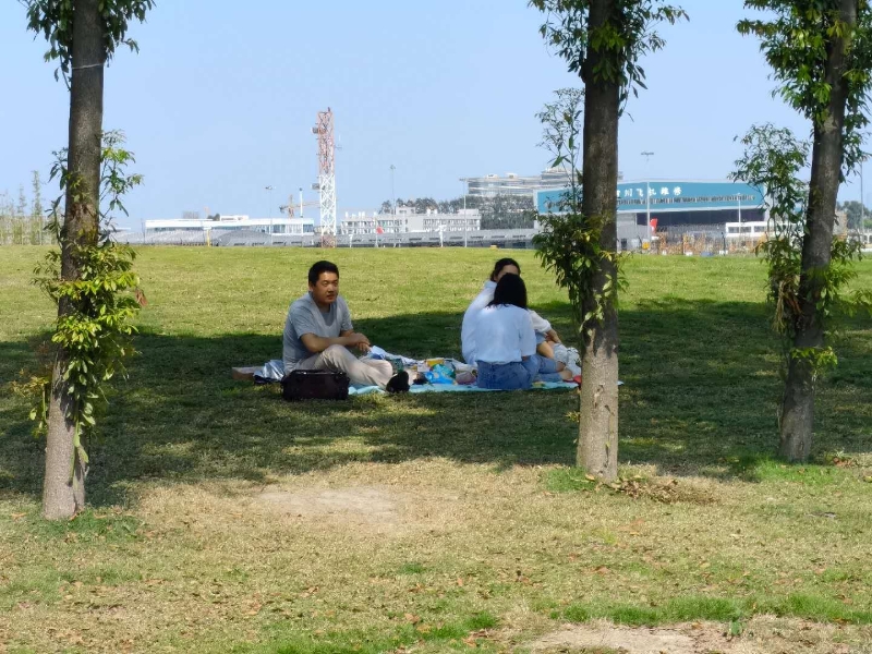 双流空港花田看飞机降落最佳地点,双流空港花田最佳位置看飞机