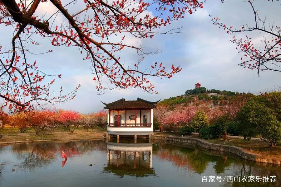 苏州西山免费打卡,苏州东山风景区网红打卡