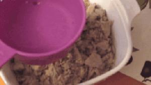 9.9包邮~200元+的猫咪冻干，究竟有什么区别？