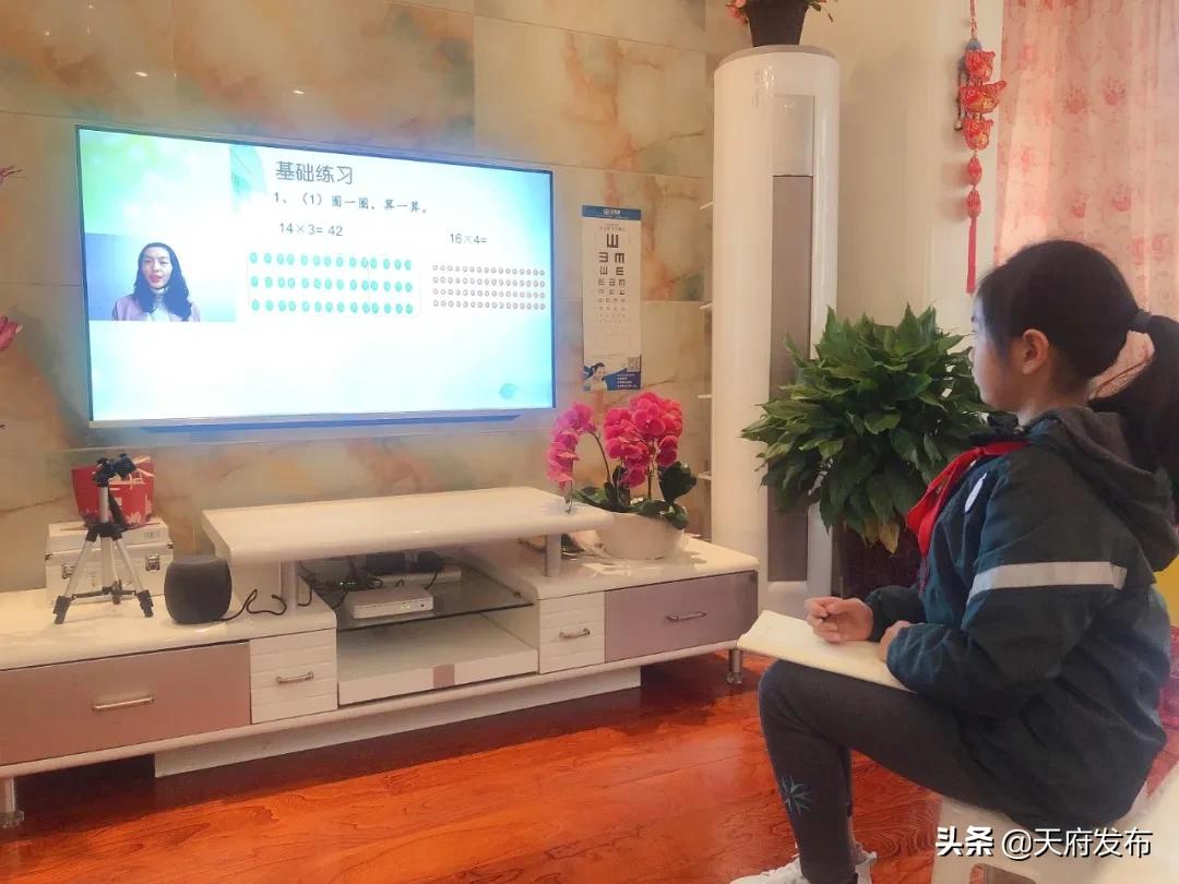 线上复课即将开始,线上教学的复课建议