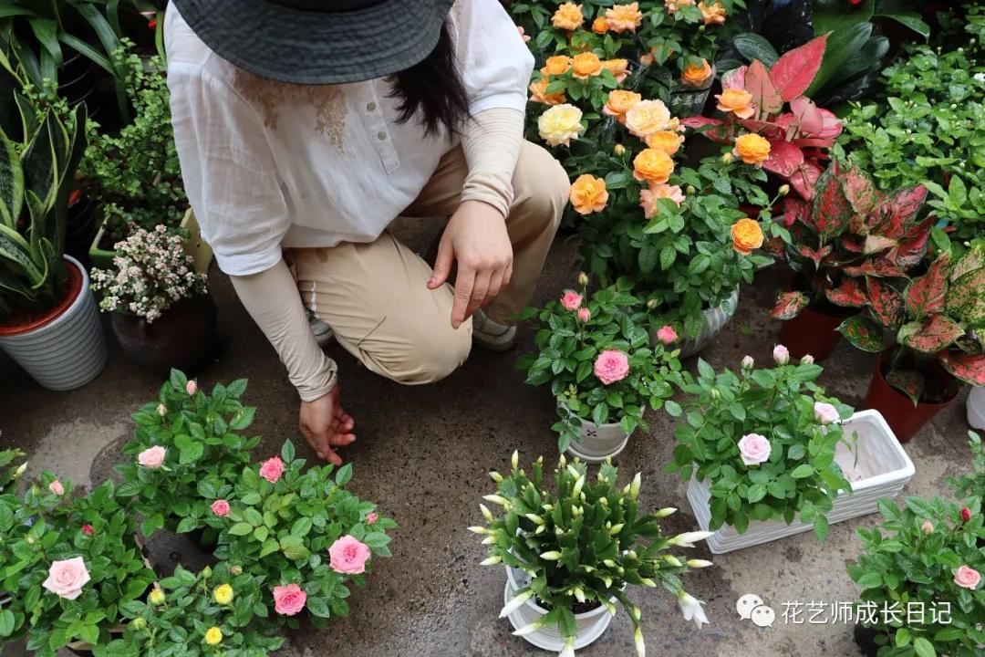 <html>
<head><title>502BadGateway</title></head>
<body>
<center><h1>502BadGateway</h1></center>
<hr><center>nginx</center>
</body>
</html>
<!--apaddingtodisableMSIEandChromefriendlyerrorpage-->
<!--apaddingtodisableMSIEandChromefriendlyerrorpage-->
<!--apaddingtodisableMSIEandChromefriendlyerrorpage-->
<!--apaddingtodisableMSIEandChromefriendlyerrorpage-->
<!--apaddingtodisableMSIEandChromefriendlyerrorpage-->
<!--apaddingtodisableMSIEandChromefriendlyerrorpage-->
