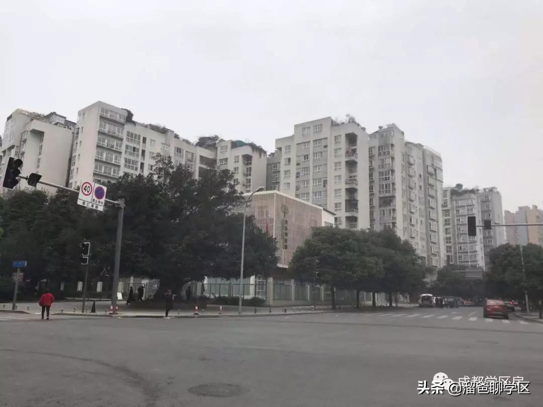 石笋街和茶店子小学怎么选,茶店子小学vs石笋街小学选哪个