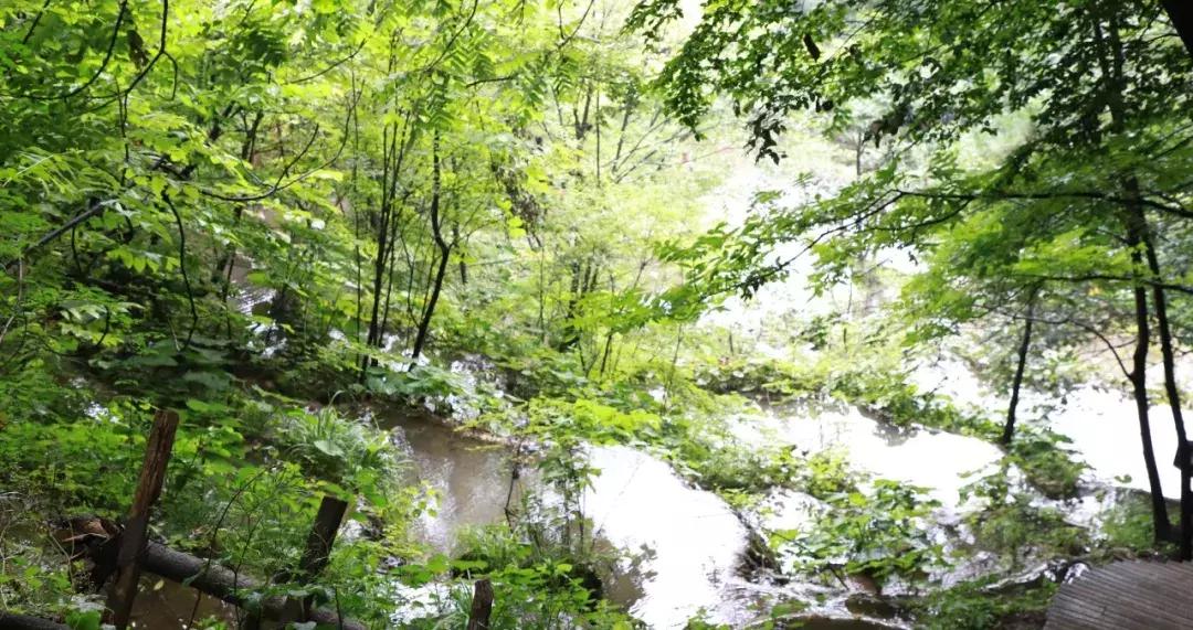 洛阳周边竟藏了个“北国小江南”！山水俱佳，堪称世外仙境