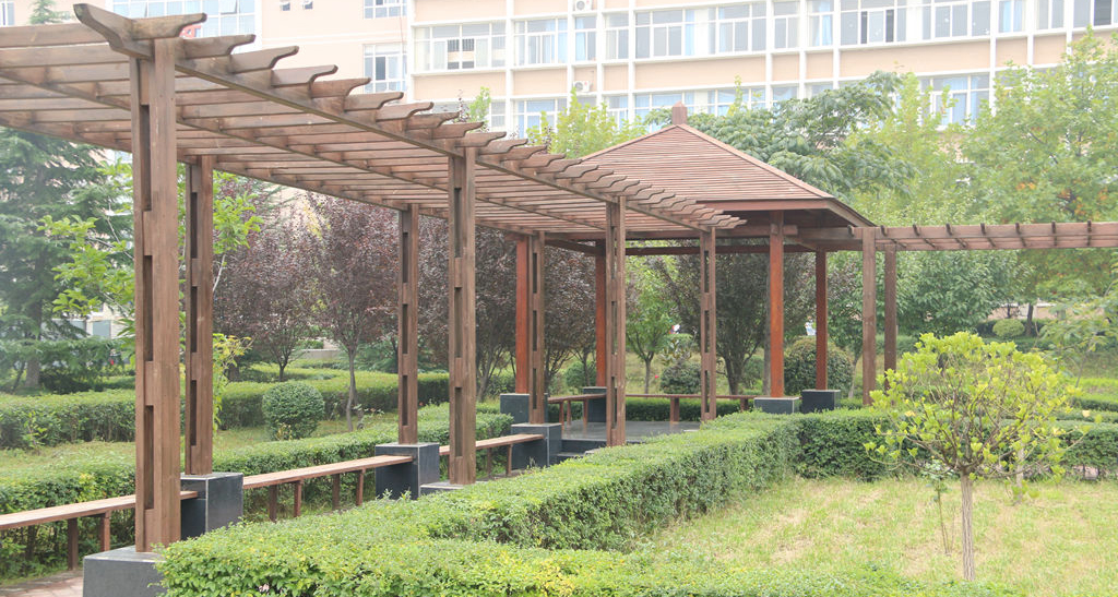 陕西职业技术学院最新通知,陕西省西安职业技术学院