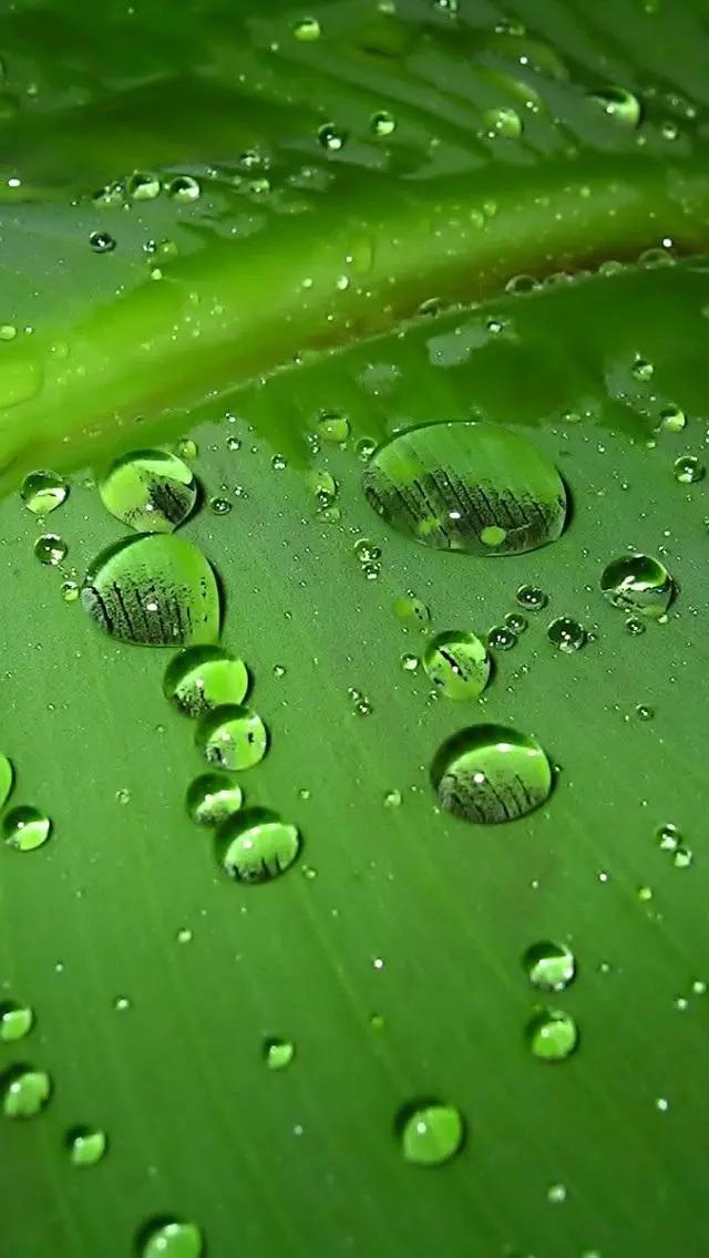 白岩松经典语录昨天比今天好 (白岩松经典语录最难的事终会过去)