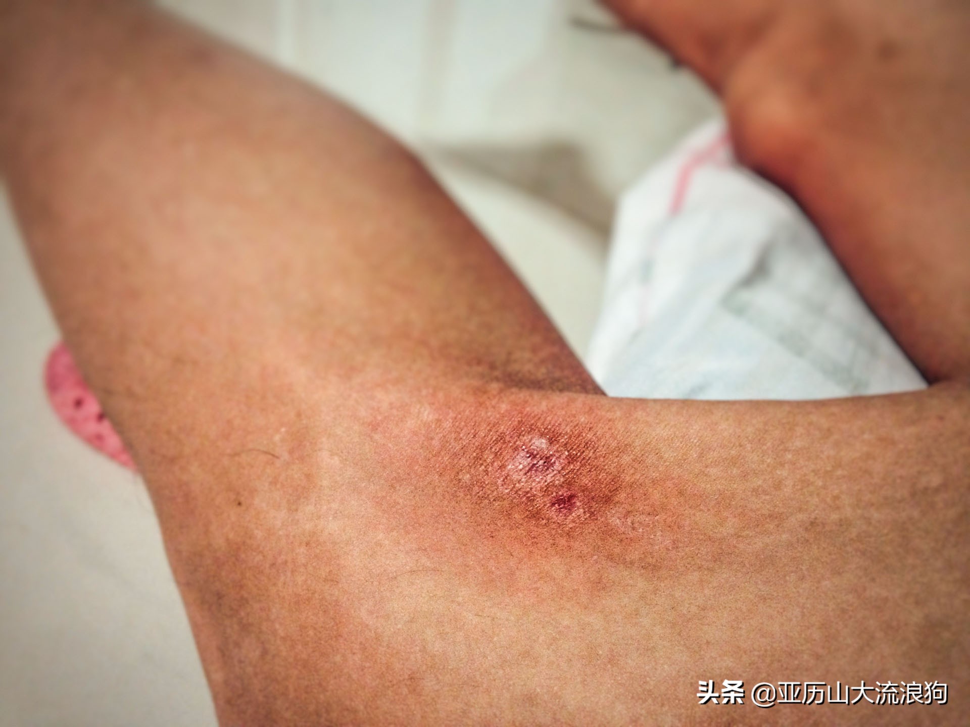 我流浪到中缅边境，发现一座奇特的寺庙，修行的僧人竟都是孩童