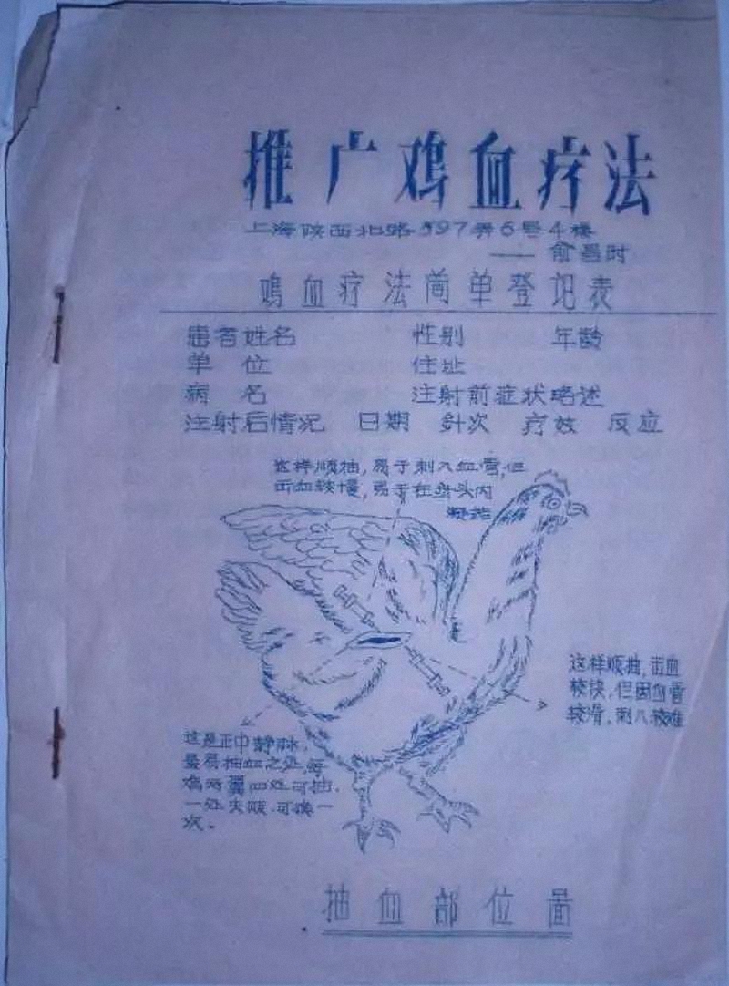 打鸡血的真实来历,打鸡血原来真有其事