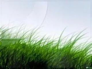 赋得古原草送别诵读视频,赋得古原草送别全部诵读