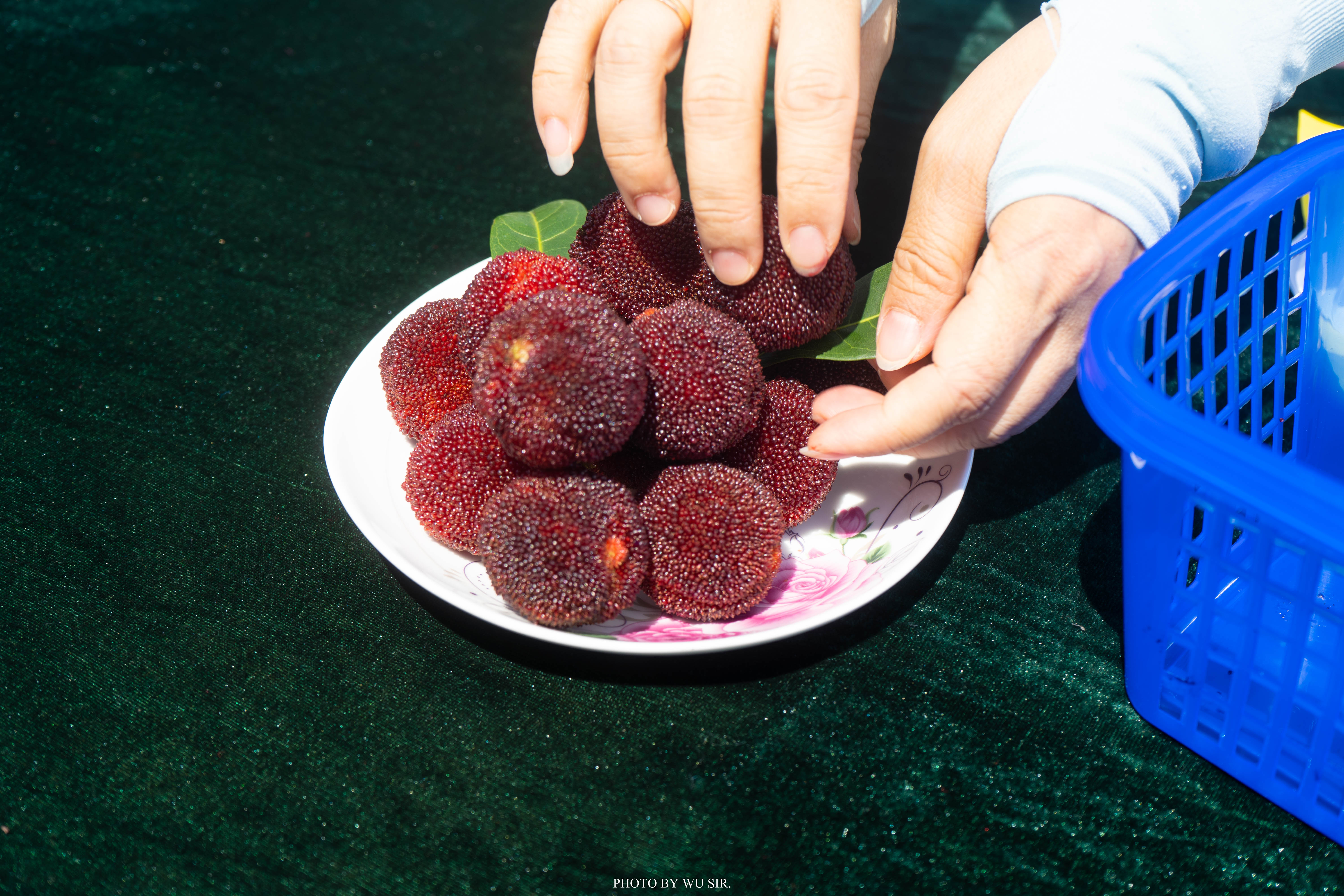 我与临海的三天两夜：从自然走向人文，从人文体悟生活