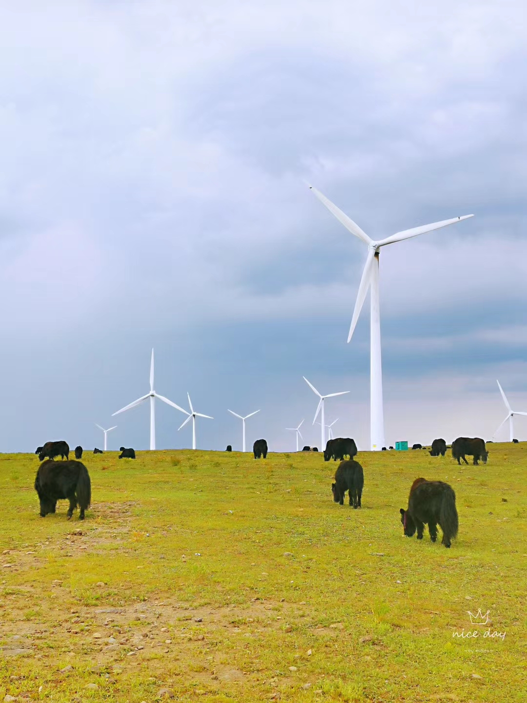 乌兰布统和红松洼哪个更值得去,辽宁乌兰布统草原旅游