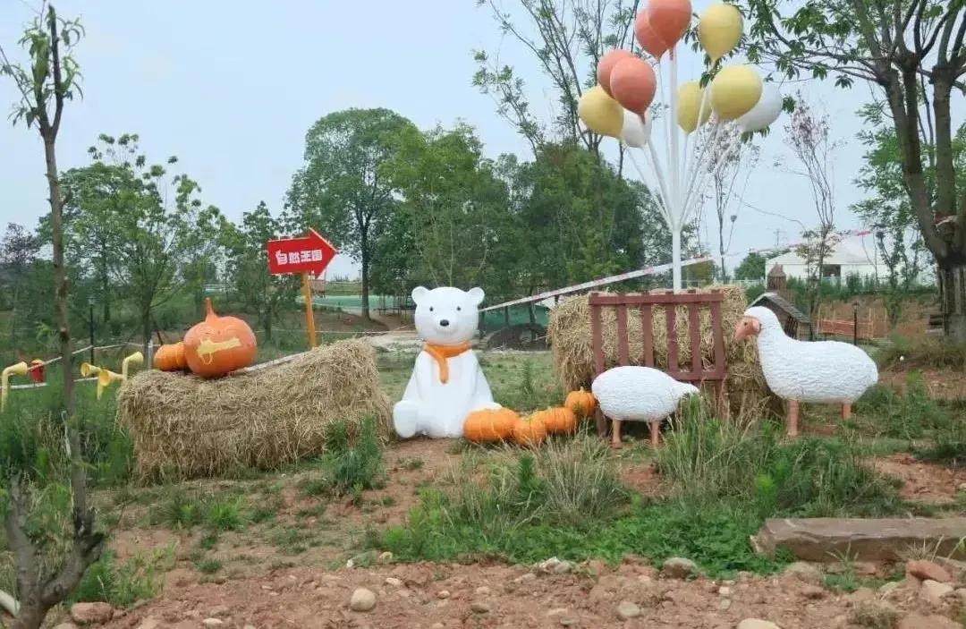 青白江遛娃宝藏地,青白江特色体育项目