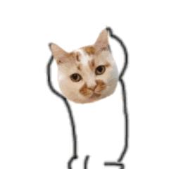 自考学霸呕心沥血整理2000字备考锦囊,倒计时争分夺秒快看