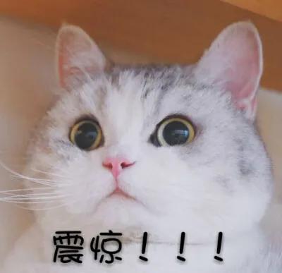 封不开窗阳台,不封闭阳台有必要封吗