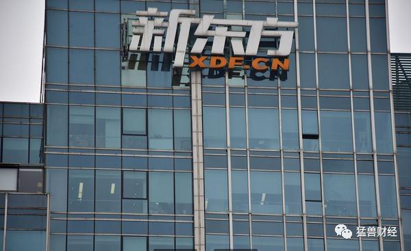 新东方在线一年涨数倍剖析背后的投资价值与风险