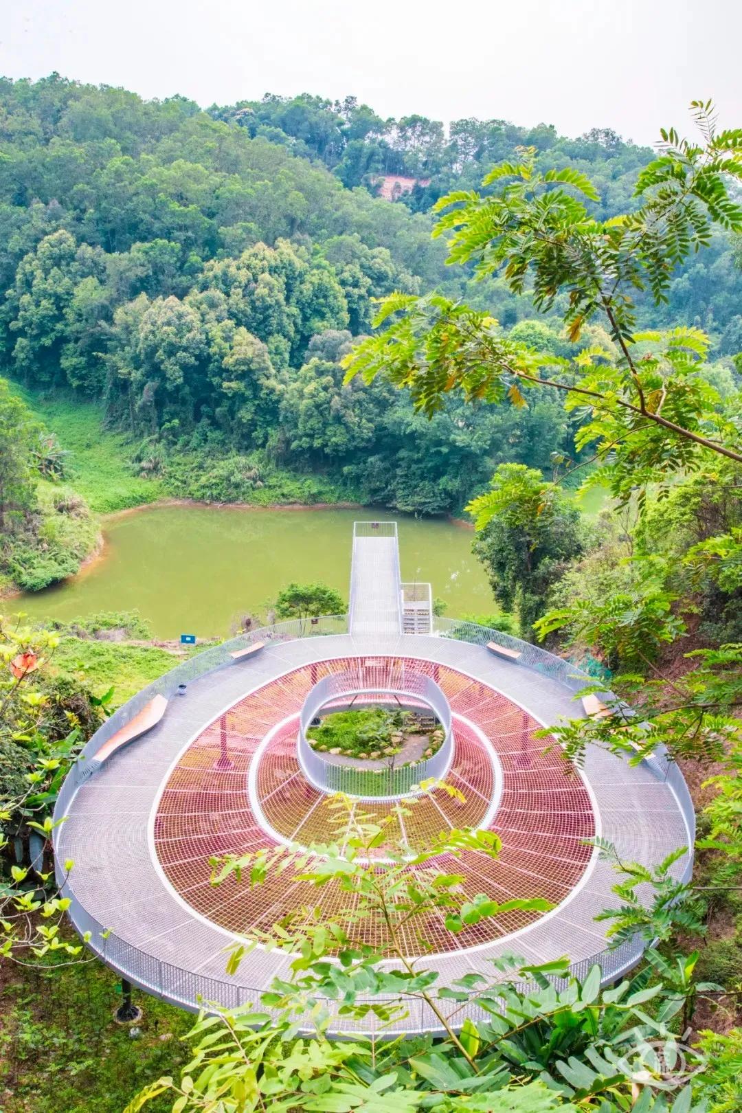 深圳这10条绿道你去过没,深圳十大绿道排行榜