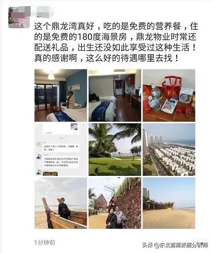 等三月阳春向海而行|“我在鼎龙湾，一切安好”
