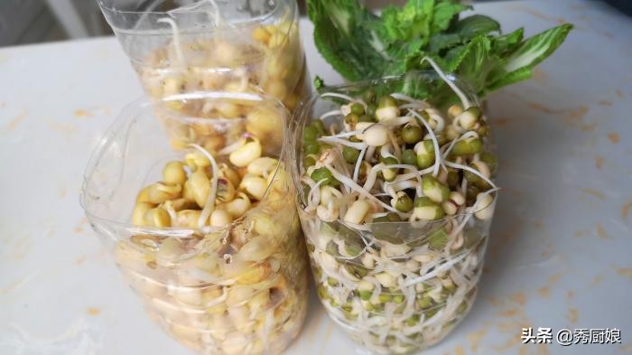 6口之家,23天没出门,在家这样生豆芽,3天就能吃,连菜钱都省了