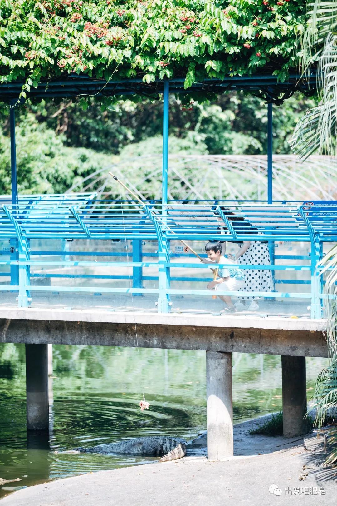 长隆飞鸟乐园怎么去长隆欢乐世界,汉溪长隆地铁站去长隆飞鸟乐园