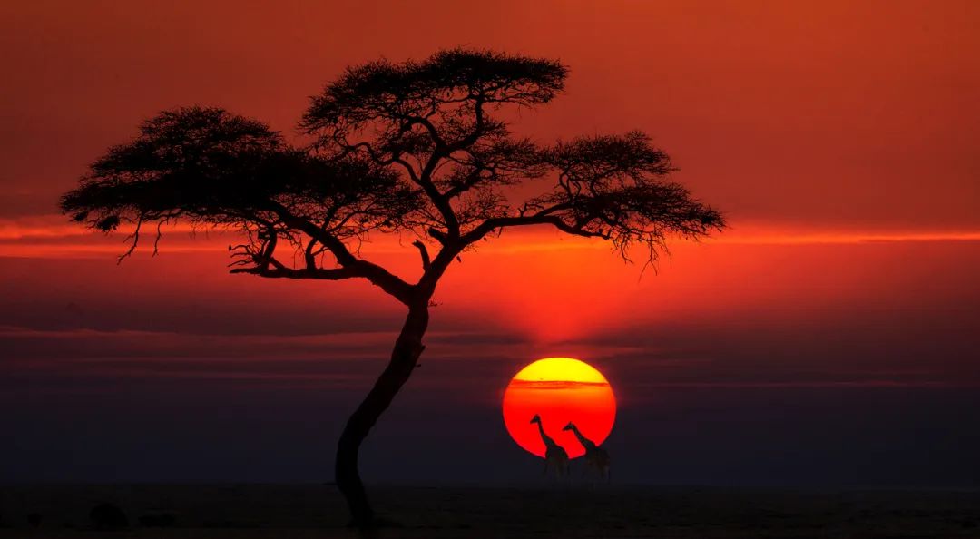 香港第14届全国摄影艺术展,第29届全国摄影艺术展览获奖名单