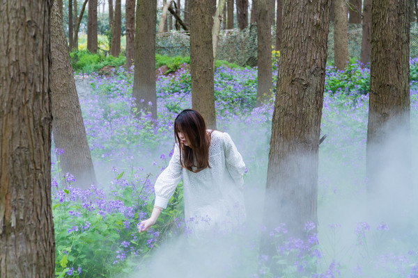 踏春赏花拍美景,踏春赏花逛湖