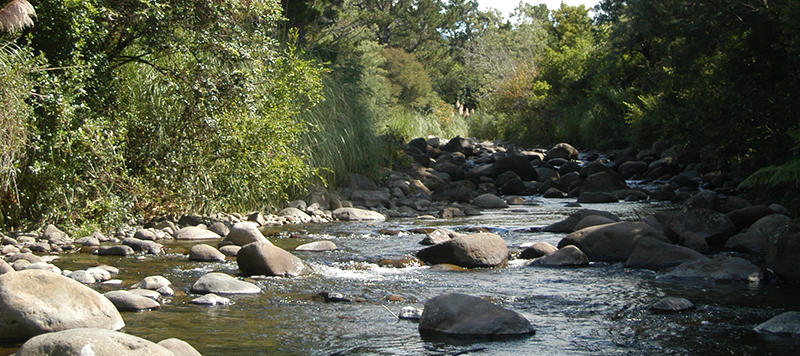 新西兰自然主义公园,新西兰向全世界开放