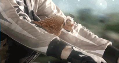 鸡头放摄像头视频,鸡头上装摄像机