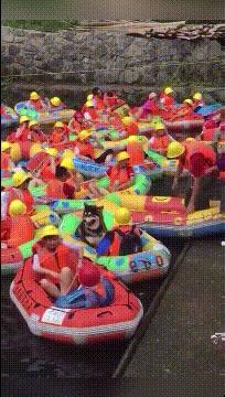 kano模型的用户需求,kano模型收集到的数据怎么分析