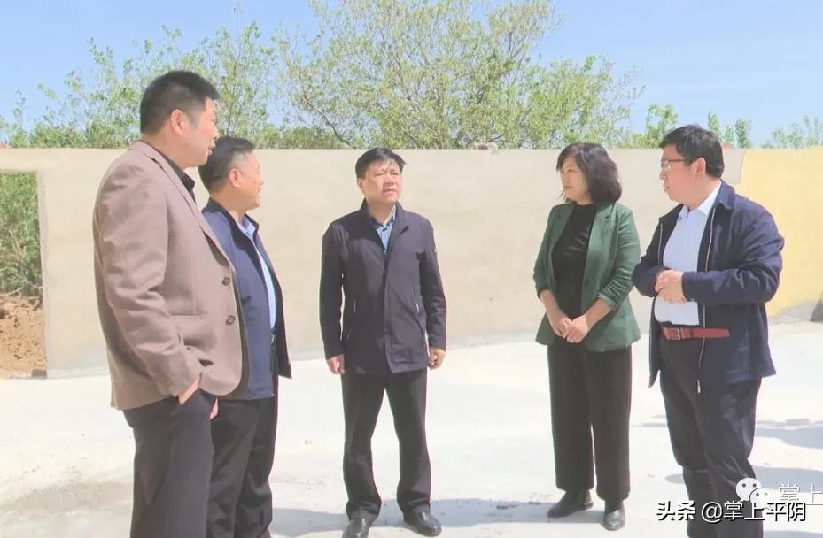 平阴新闻|县领导视察我县森林防火工作​；玫瑰花收购价格：花冠14.40元/斤