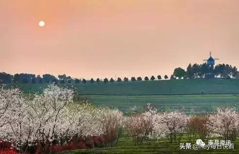 金三银四辞职信,金三银四辞职季