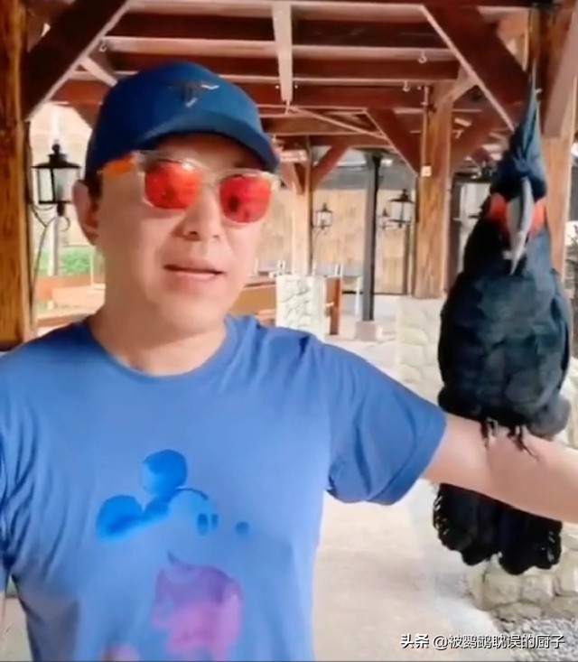 天津葵花鹦鹉多少钱一只,花鸟市场捡漏葵花鹦鹉