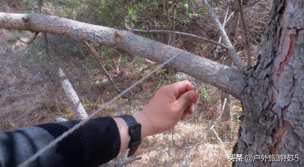 荒野求生手册：怎么制作一个户外求生宝盒edc，具体用法讲解