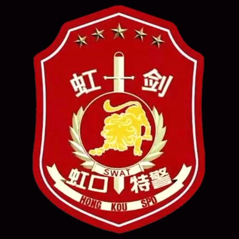 全国各个城市特警队臂章,公安特警帅图