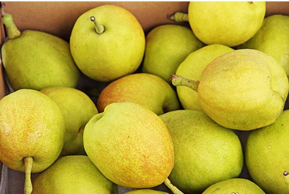 全新疆著名的特产,盘点十大新疆的特产