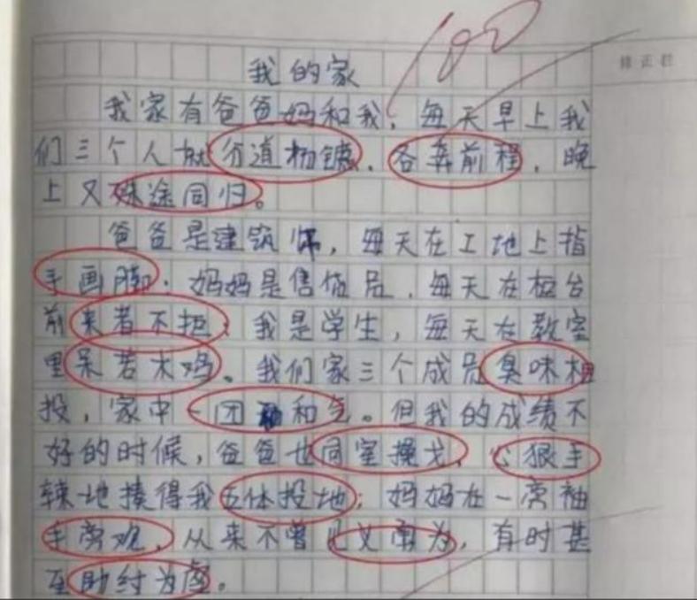 我的小姨小学生作文,三年级我的小姨作文300字