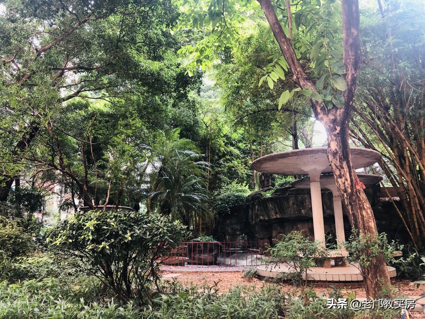 实验小学被打事件,实验小学发飙现场