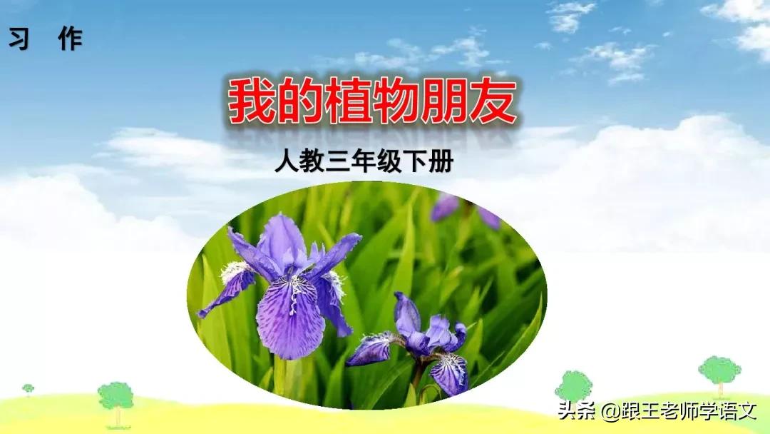 我的植物朋友竹子作文三年级300字,三年级下册我的植物朋友习作评语