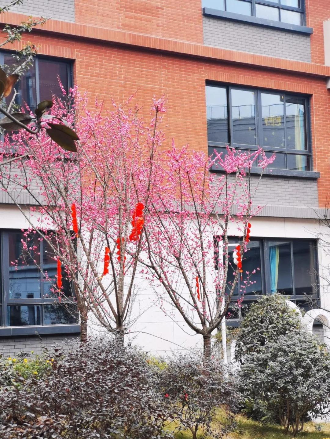 天府新区2024年小学春季开学,天府新区华阳小学2018毕业典礼