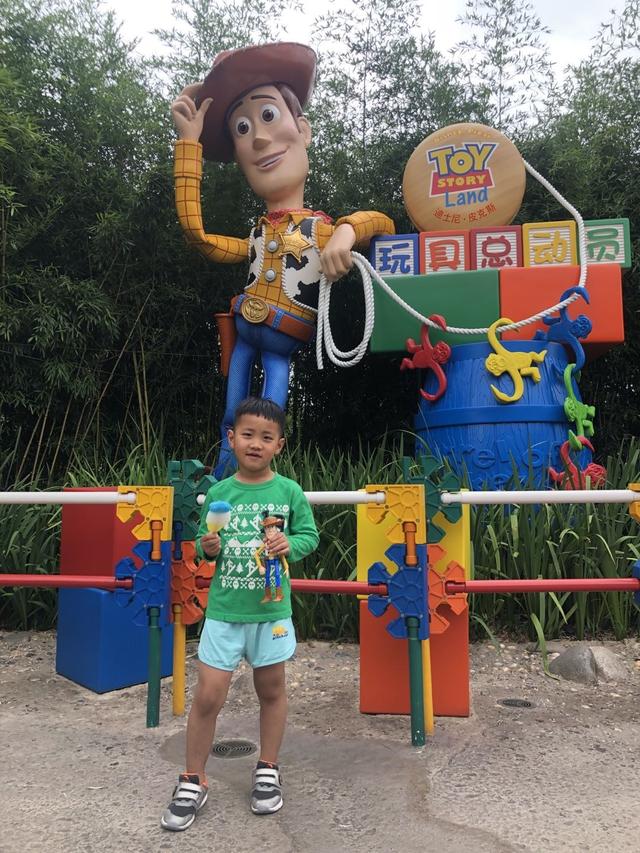 2019新西兰,2019年新西兰