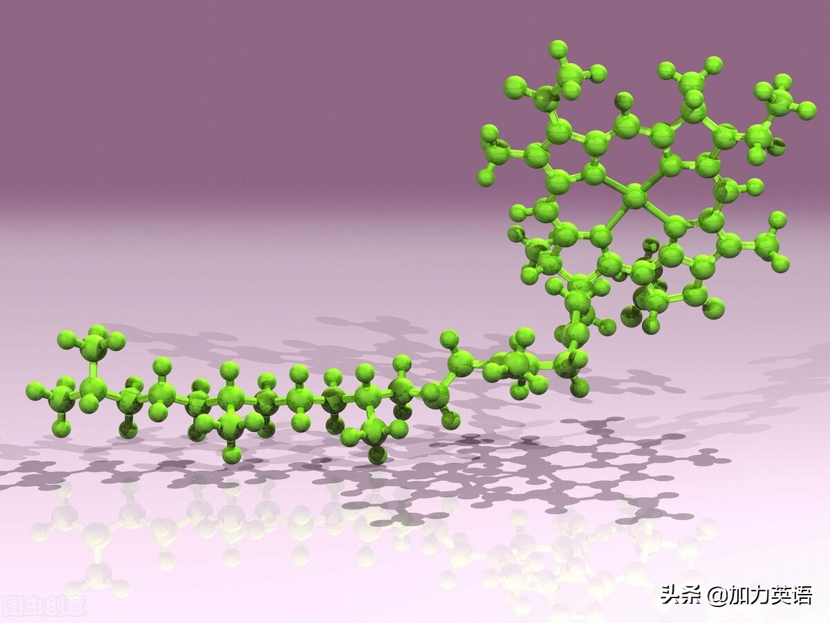 中考英语美文,中考英语相关文章阅读