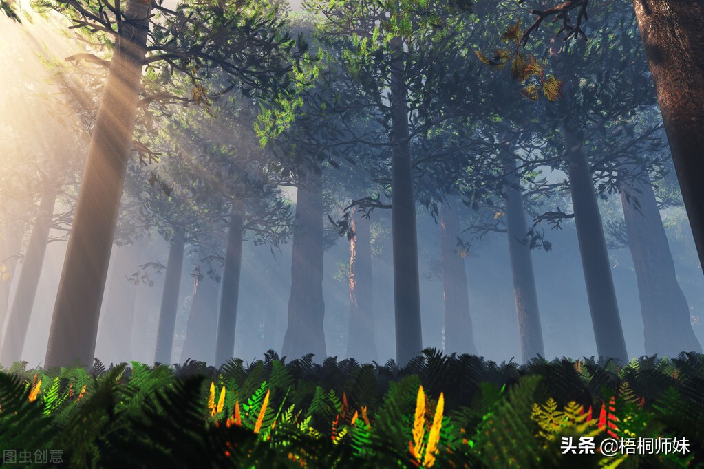 第一次见证催眠术的神奇,第一次接受催眠治疗感受