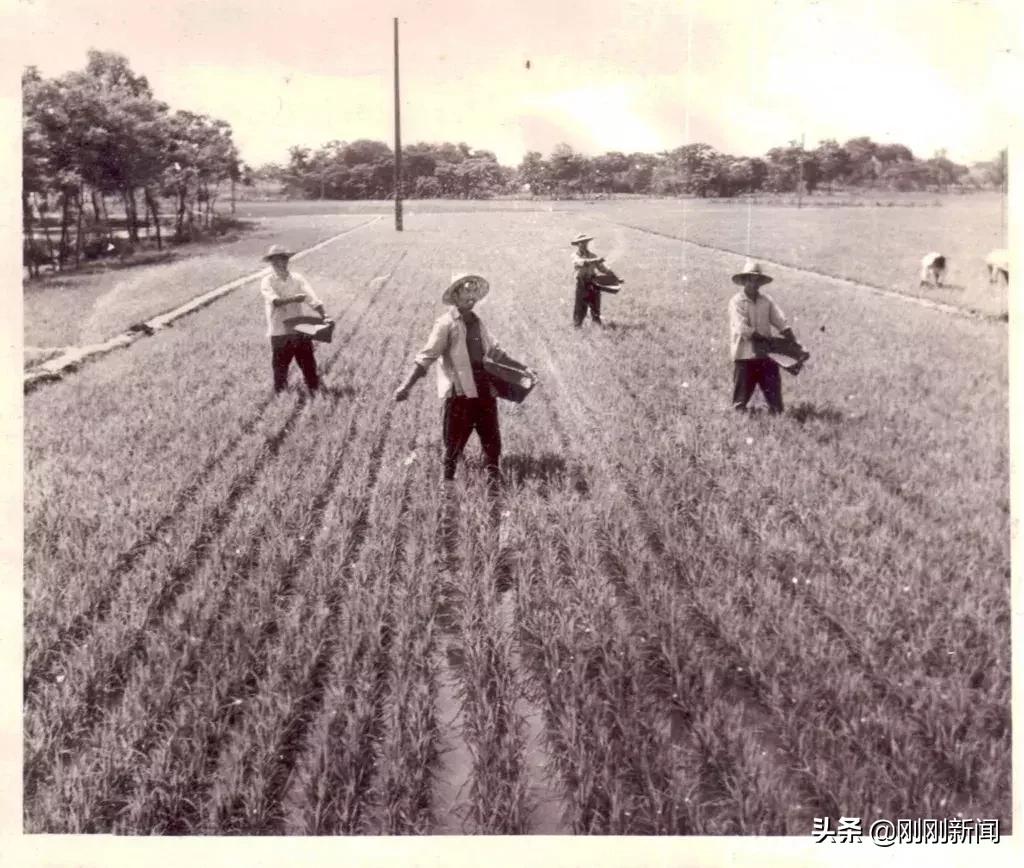 吴江未来五年的发展规划,吴江近十年的变化对比图