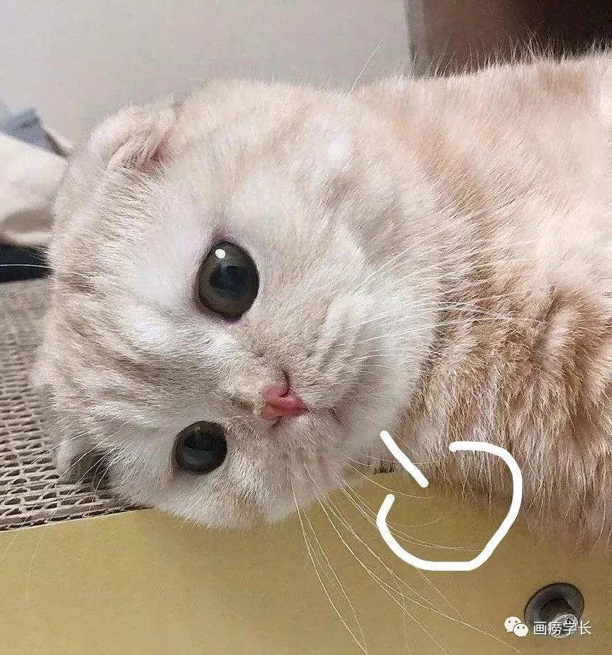 美术集训后期越画越丑,美术集训成绩越来越差怎么办