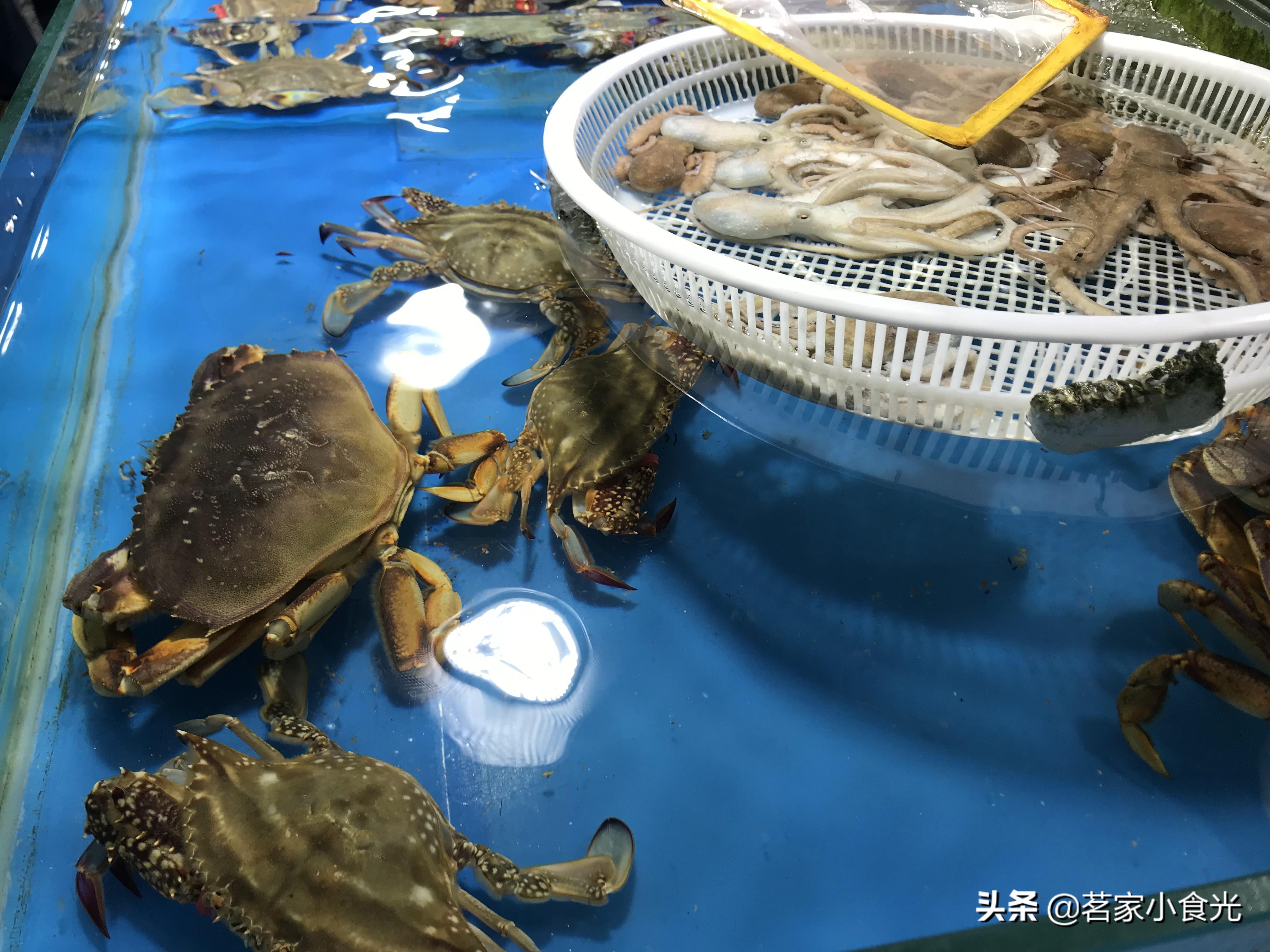 探店石家庄高端自助,吃喝玩转石家庄探店价格