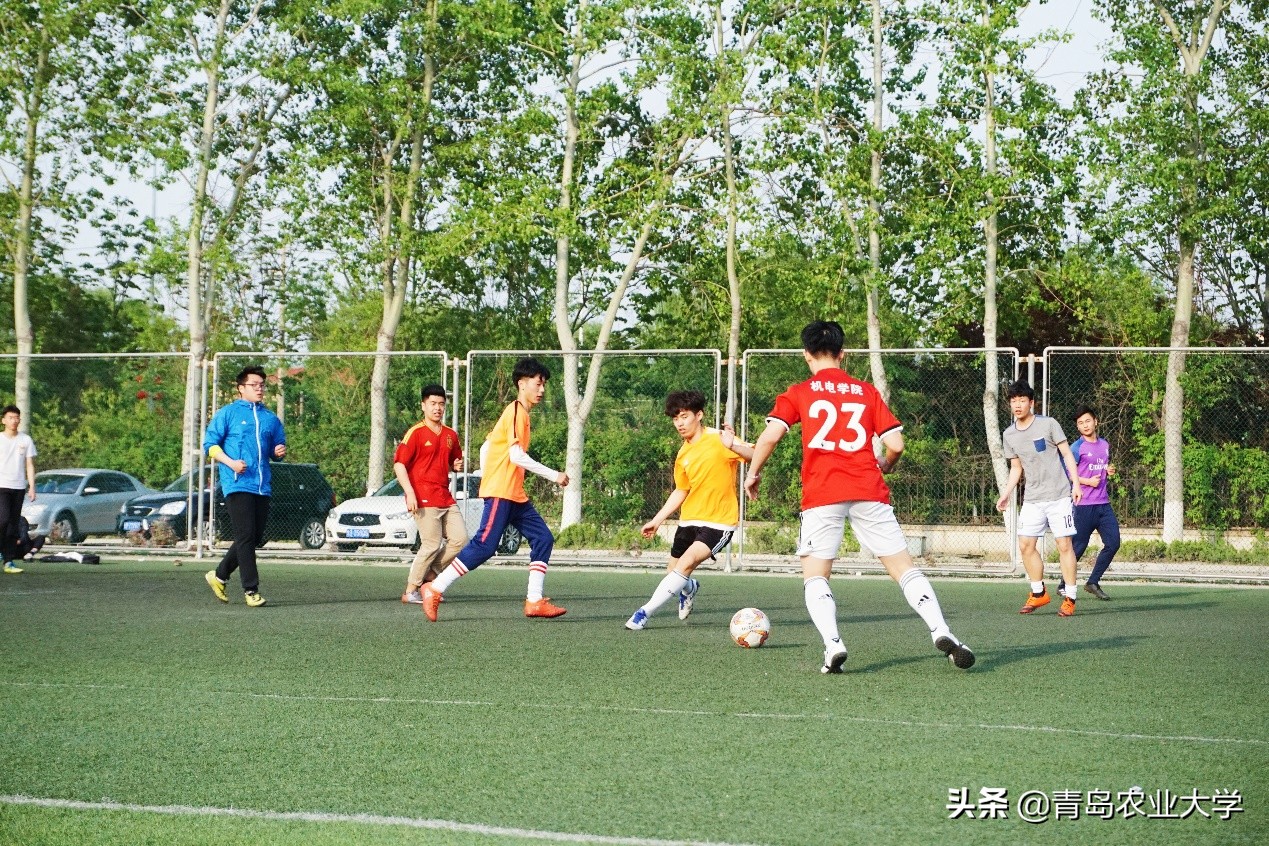 介绍青岛农业大学,令人心动的青岛